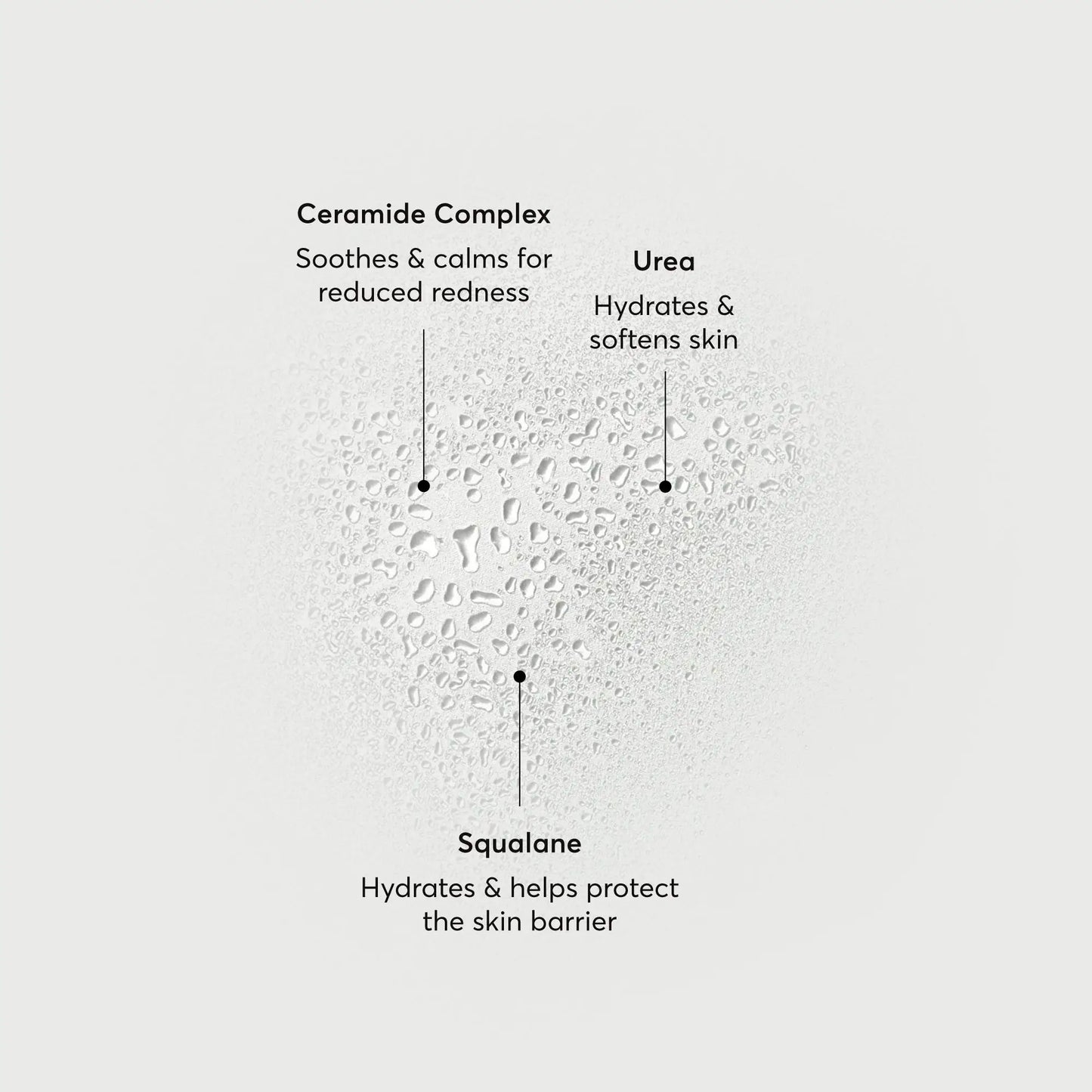 barrier-bounce-bi-phase-mist-g8 NATR-10167-Alt-Images-Barrier-Bounce-Bi-Phase-Toner-Mist_01.webp